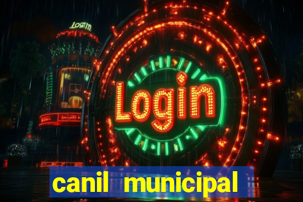 canil municipal porto alegre